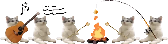cats by the campfire